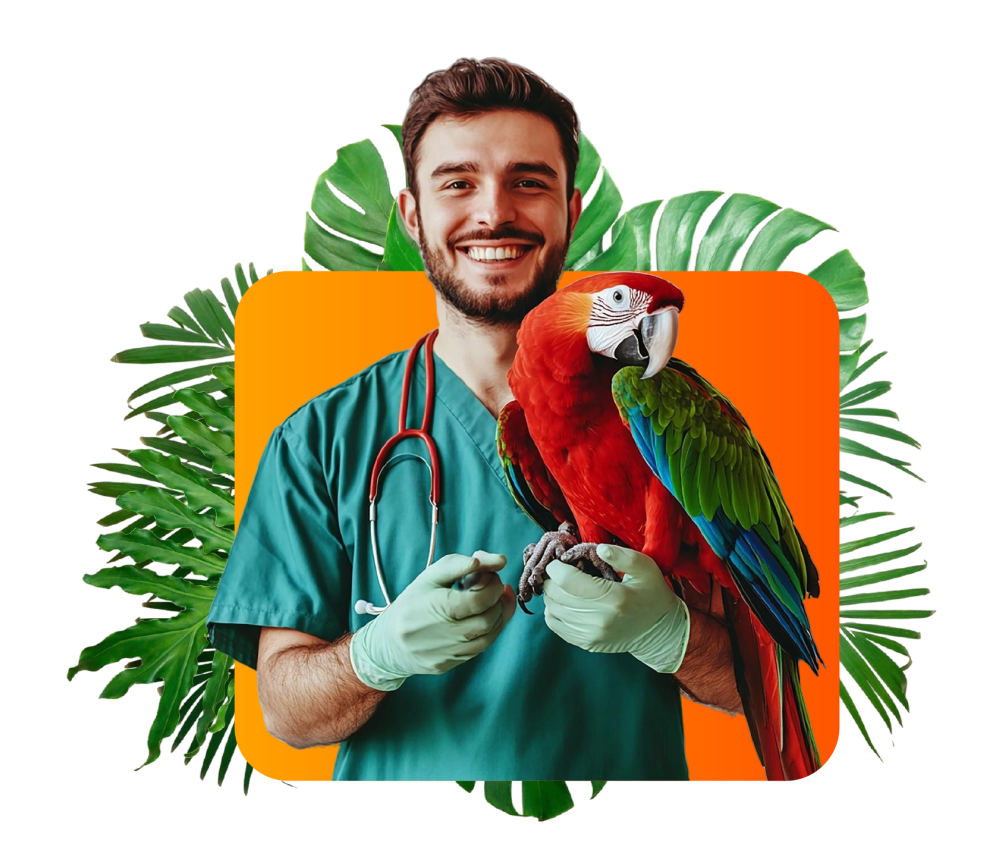 veterinario